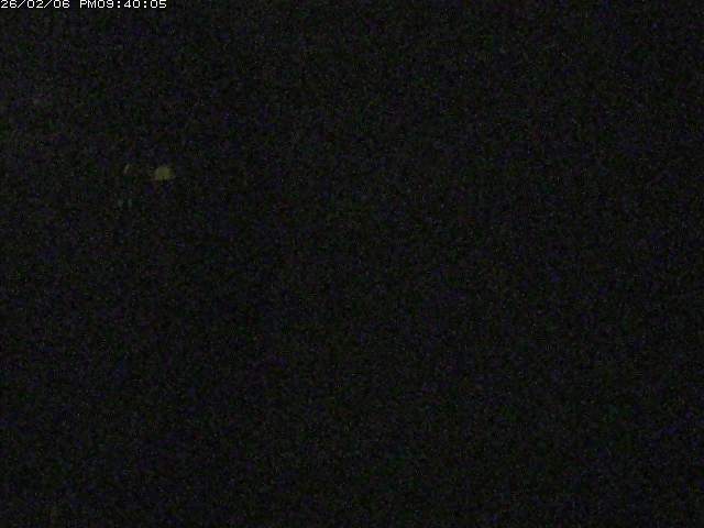 日野川１２2026/02/06 22:00:00