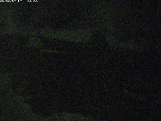 日野川１２2026/02/08 0:00:00