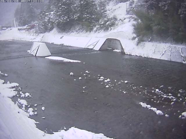 日野川１２2026/02/09 0:00:00