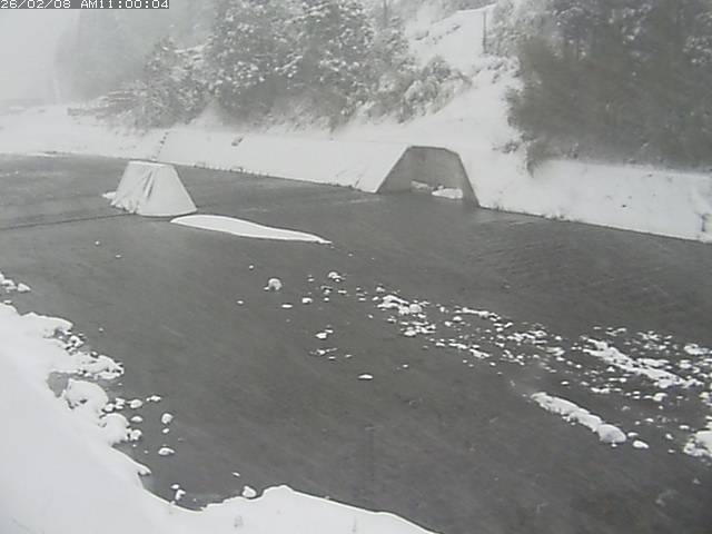 日野川１２2026/02/09 0:00:00