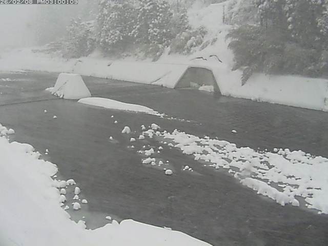 日野川１２2026/02/09 0:00:00