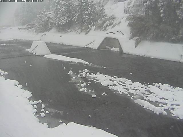 日野川１２2026/02/09 0:00:00