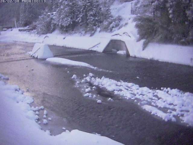 日野川１２2026/02/09 0:00:00