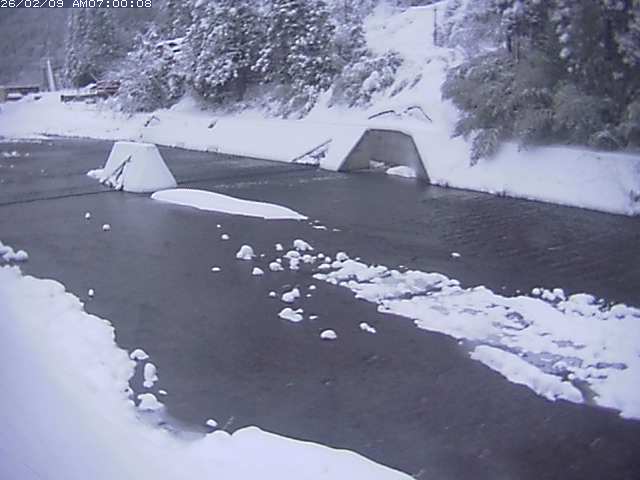 日野川１２2026/02/09 22:20:00