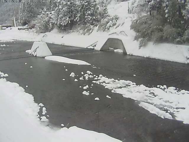 日野川１２2026/02/09 22:20:00