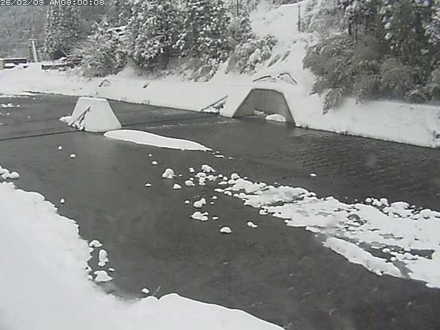 日野川１２2026/02/09 22:20:00