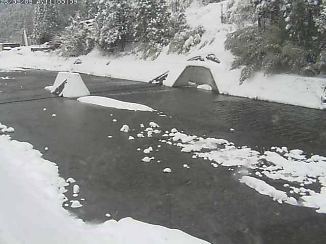 日野川１２2026/02/09 22:20:00