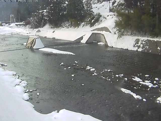 日野川１２2026/02/09 22:20:00