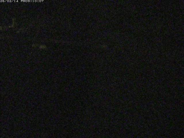 日野川１２2026/02/15 1:00:00