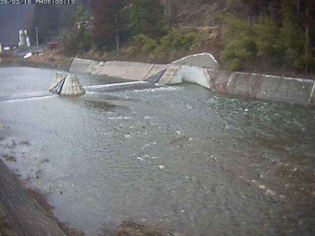 日野川１２2026/02/16 23:20:00