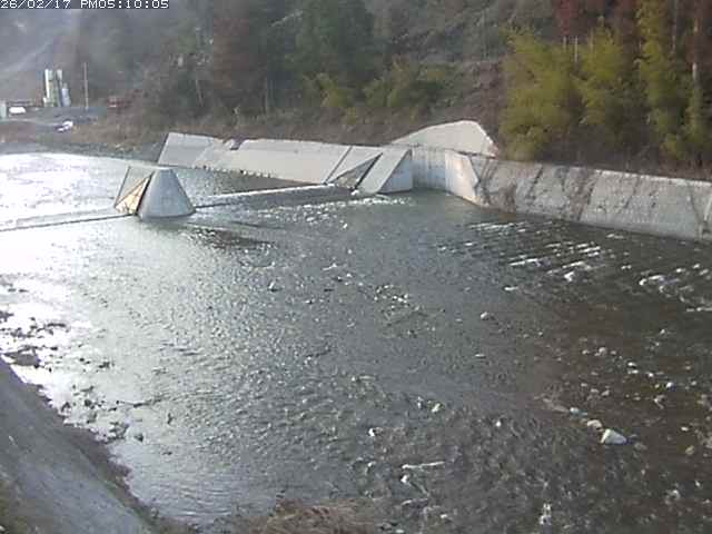 日野川１２2026/02/17 21:00:00