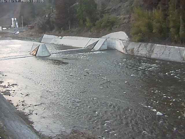 日野川１２2026/02/17 21:00:00