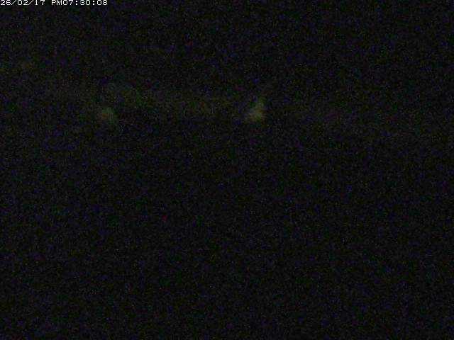 日野川１２2026/02/17 21:00:00