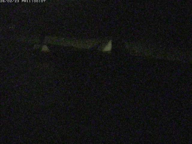 日野川１２2026/02/24 23:10:00