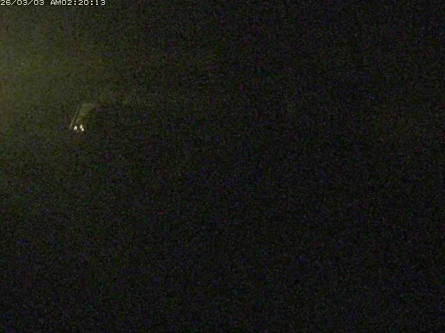 日野川１２2026/03/03 02:20