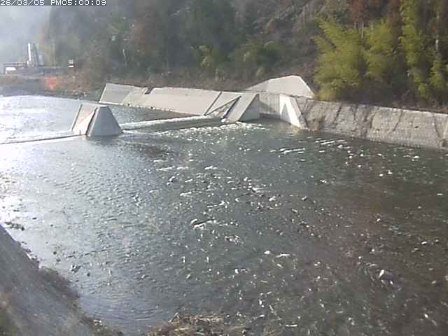 日野川１２2026/03/06 2:40:00