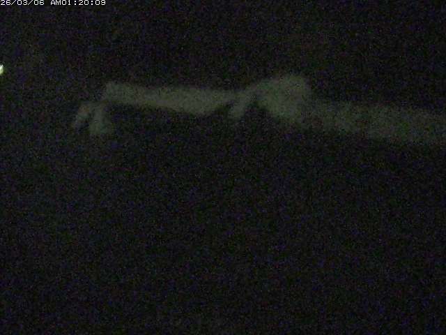 日野川１２2026/03/06 2:40:00