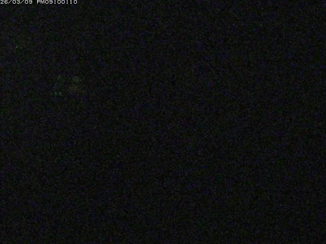 日野川１２2026/03/10 2:10:00