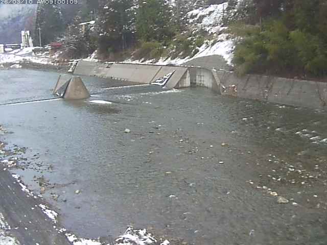 日野川１２2026/03/10 23:50:00