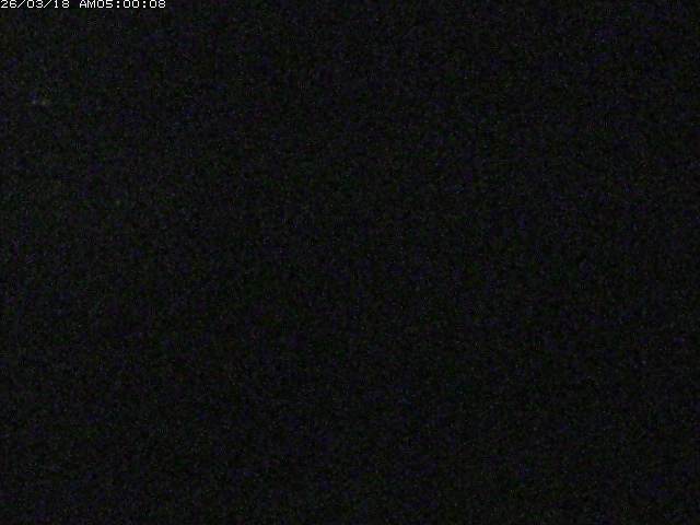 日野川１２2026/03/19 5:30:00