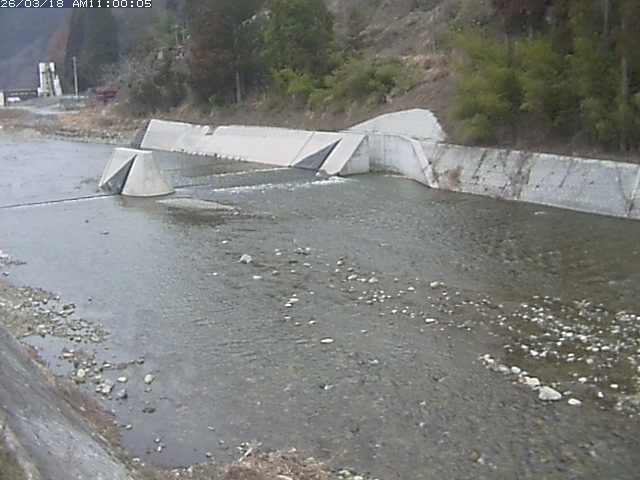 日野川１２2026/03/19 5:30:00