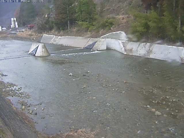 日野川１２2026/03/19 5:30:00