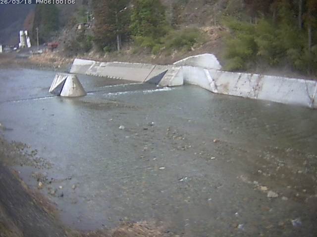 日野川１２2026/03/19 5:30:00