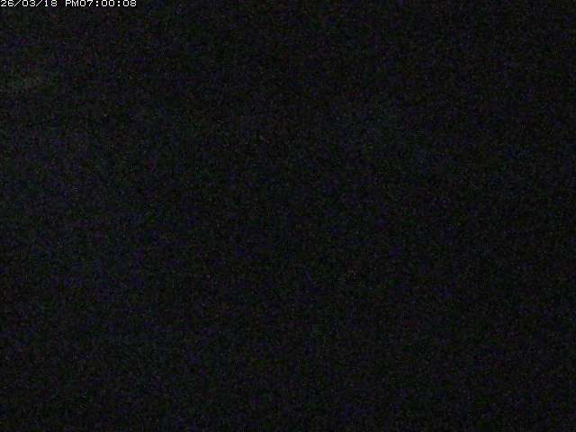 日野川１２2026/03/19 5:30:00