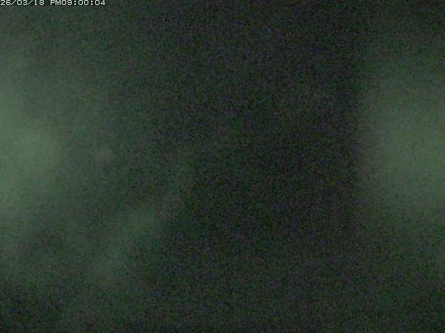 日野川１２2026/03/19 5:30:00