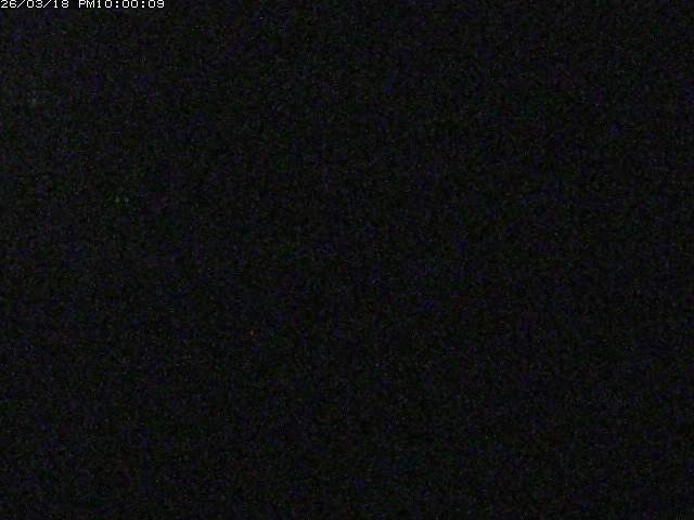 日野川１２2026/03/19 5:30:00