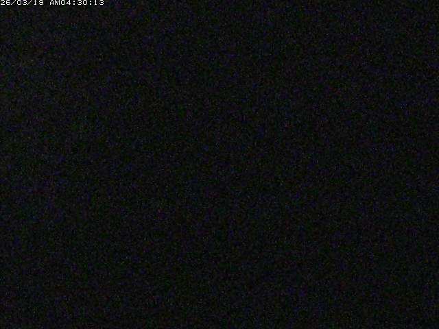 日野川１２2026/03/19 5:30:00