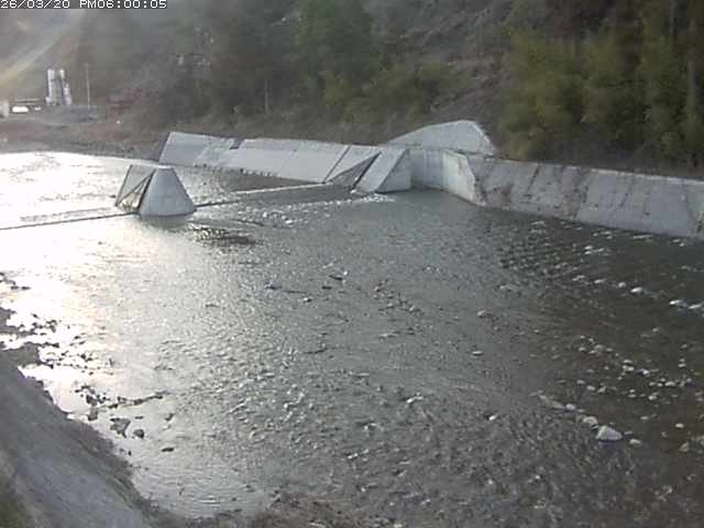 日野川１２2026/03/21 5:00:00