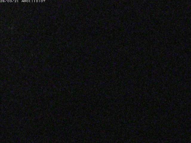 日野川１２2026/03/21 5:00:00