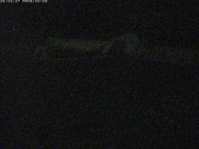 日野川１２2026/03/28 10:30:00