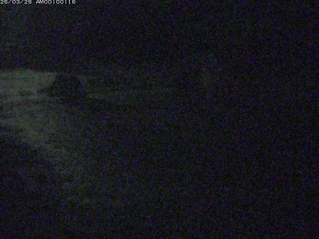 日野川１２2026/03/28 10:30:00