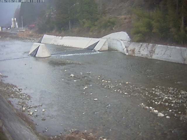 日野川１２2026/03/28 10:30:00