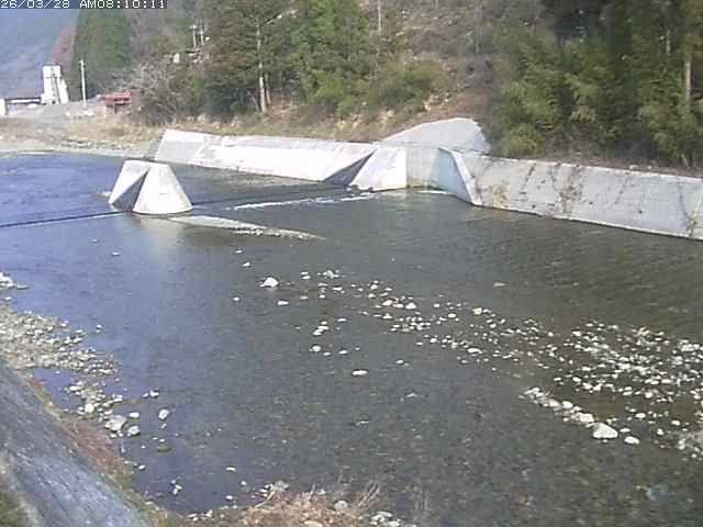 日野川１２2026/03/28 10:30:00