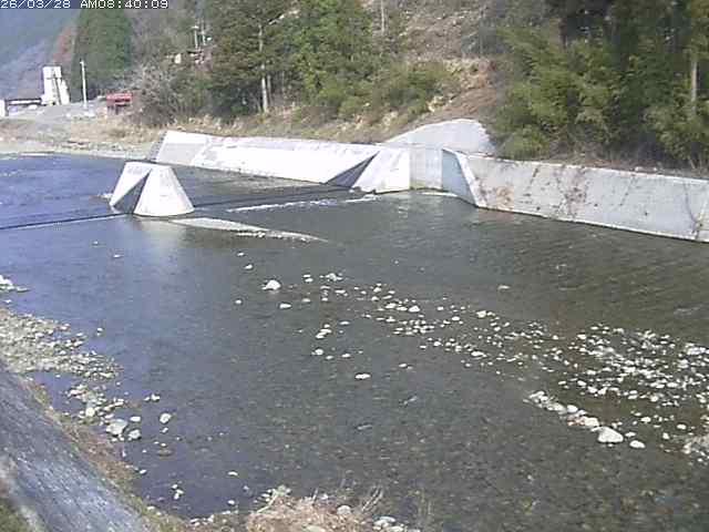 日野川１２2026/03/28 10:30:00