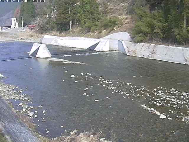 日野川１２2026/03/28 10:30:00