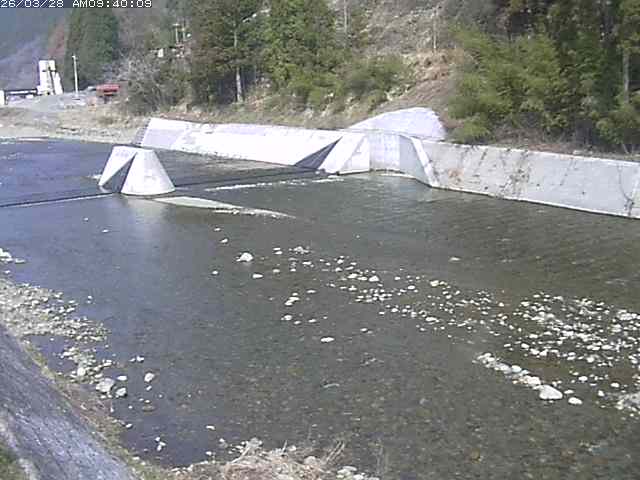 日野川１２2026/03/28 10:30:00