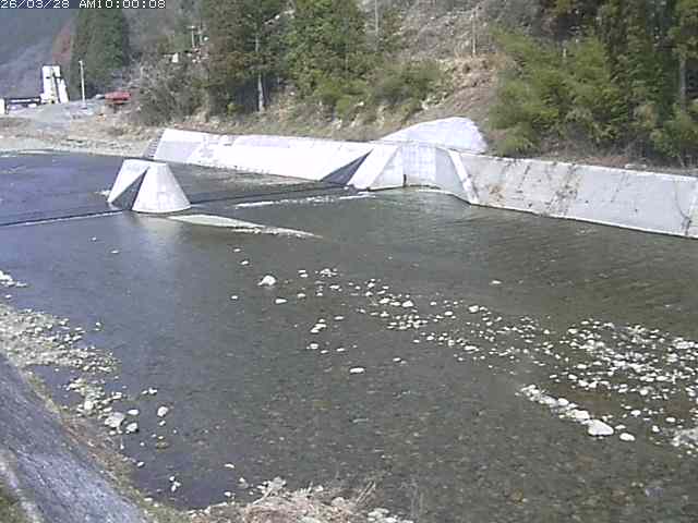 日野川１２2026/03/28 10:30:00