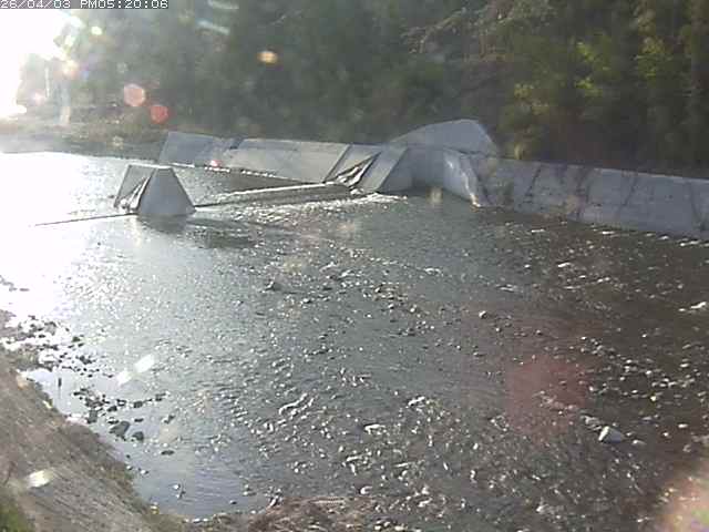 日野川１２2026/04/03 18:50:00