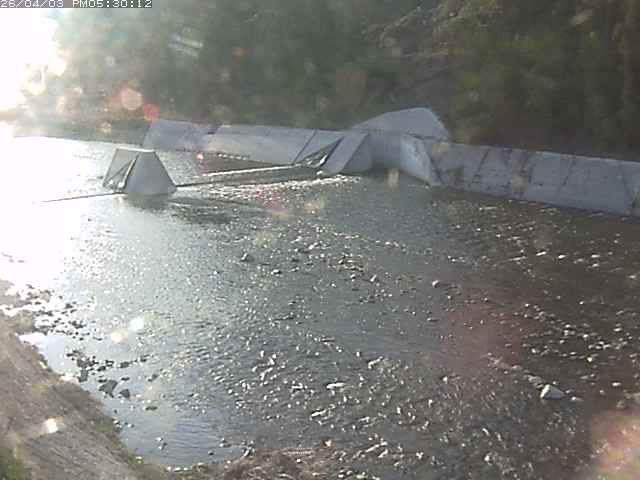 日野川１２2026/04/03 18:50:00