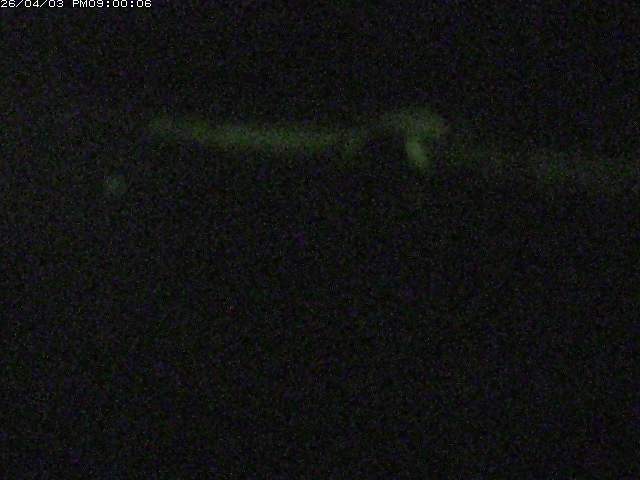 日野川１２2026/04/04 11:40:00