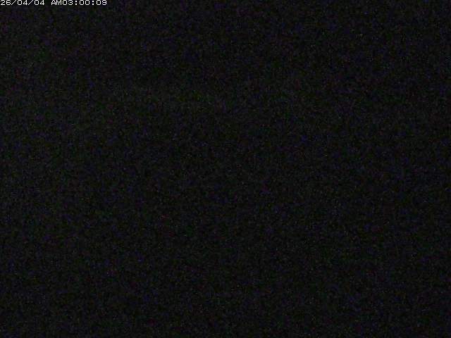 日野川１２2026/04/04 11:40:00