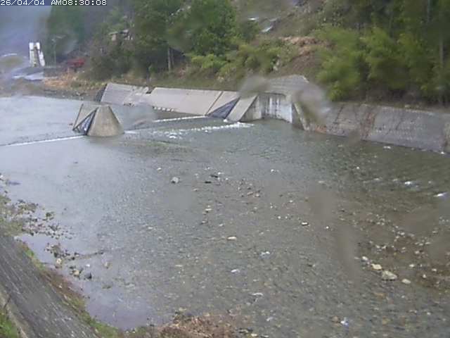 日野川１２2026/04/04 11:40:00