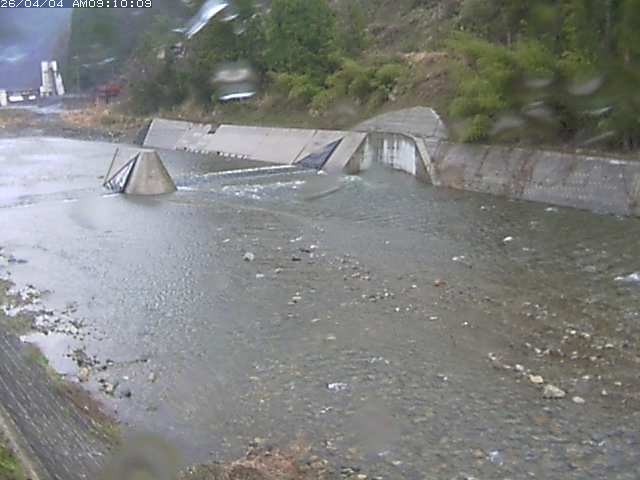 日野川１２2026/04/04 11:40:00