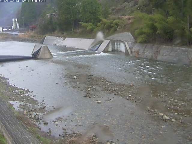 日野川１２2026/04/04 11:40:00