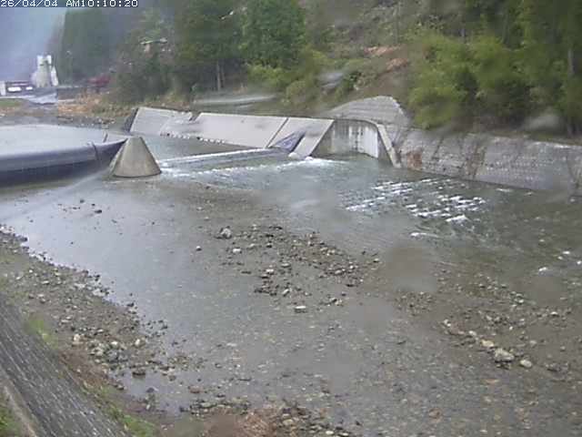 日野川１２2026/04/04 11:40:00