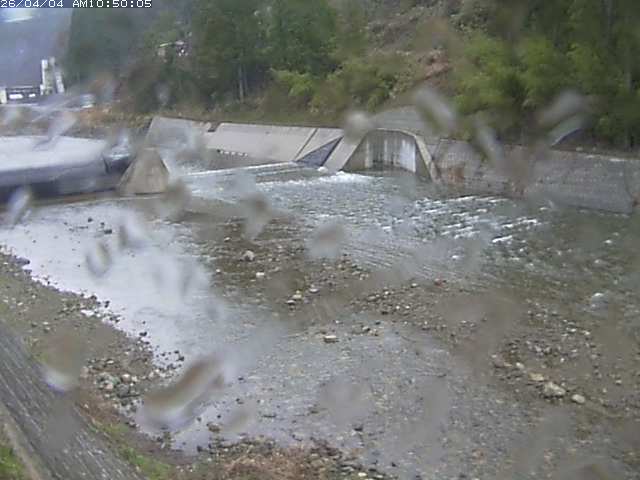 日野川１２2026/04/04 11:40:00